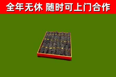 朝阳市回收海参